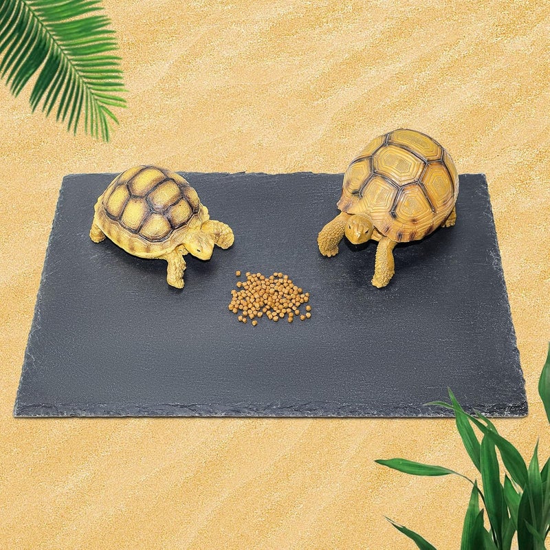 BINANO Tortoise Habitat basking Rock Feeding Dish Bearded Dragon/Lizard Original Rock Slab,Easy to Grind The Nails,with Non-Slip mats,Natural Food Bowl,Moisturizing Effect(Large- Size) - Image 1